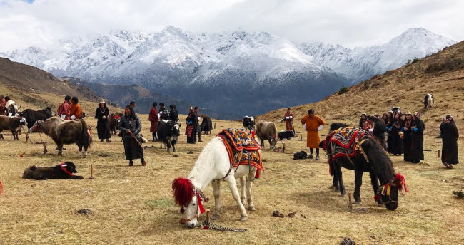 Khám phá lễ hội Cao nguyên Hoàng gia ở Laya, khu định cư cao nhất ở Bhutan.