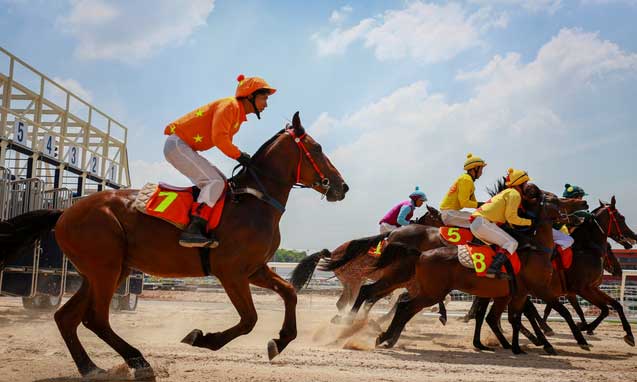 Hồi sinh "làng chiến mã" - 4