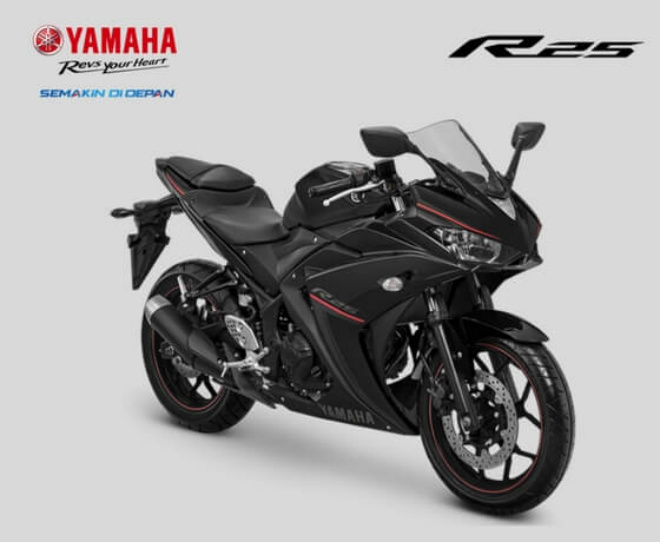 Yamaha YZF-R25 bản cập nhật lên kệ, giá 89,3 triệu đồng - 3