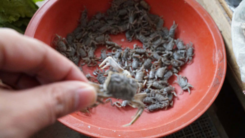 Lạc vào chợ "cổ" toàn... người già ở xứ sở Kim Chi - 8