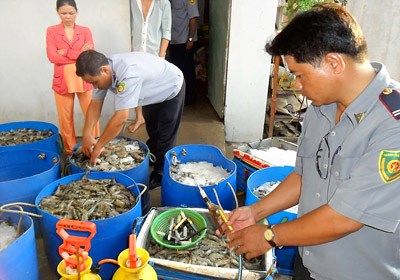 Khó dẹp nạn tôm bơm tạp chất vì lãi cao khủng khiếp như buôn ma túy - 3