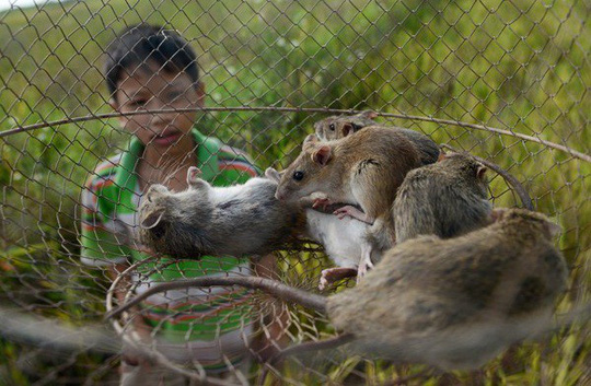 Ăn món &#34;ích nước, lợi nhà&#34; - 3