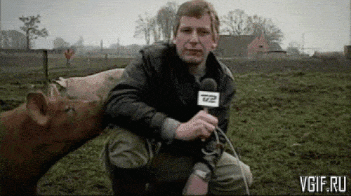 Lý do khiến phóng viên "rùng mình" trên truyền hình - 5