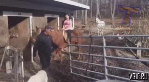 Những cô nàng khiến các chàng sẵn sàng bỏ xem bóng đá - 5