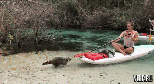 Những cô nàng khiến các chàng sẵn sàng bỏ xem bóng đá - 7