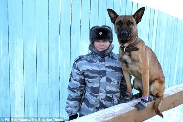 Chó 2,3 tỉ đồng làm &#34;cai ngục&#34; ở nhà tù cẩn mật nhất Nga - 1