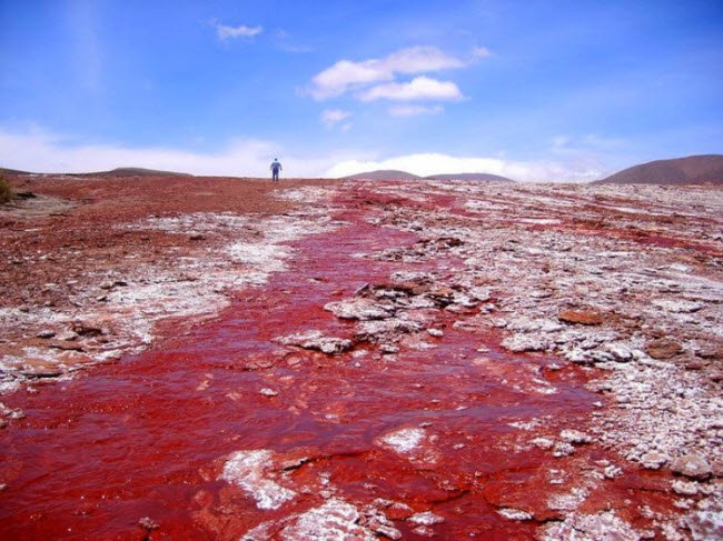 Giải mã bí ẩn hồ nước có màu đỏ như máu ở Chile - 1