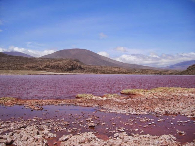 Giải mã bí ẩn hồ nước có màu đỏ như máu ở Chile - 4