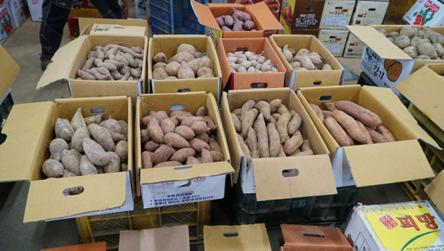 Đi chợ đấu giá rau, khoai, dâu tây ở xứ Hàn giữa trời âm 4 độ C - 2