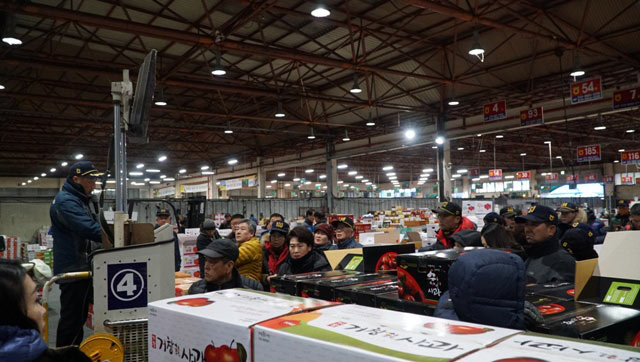 Đi chợ đấu giá rau, khoai, dâu tây ở xứ Hàn giữa trời âm 4 độ C - 3