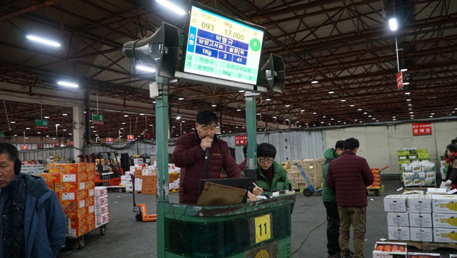 Đi chợ đấu giá rau, khoai, dâu tây ở xứ Hàn giữa trời âm 4 độ C - 4