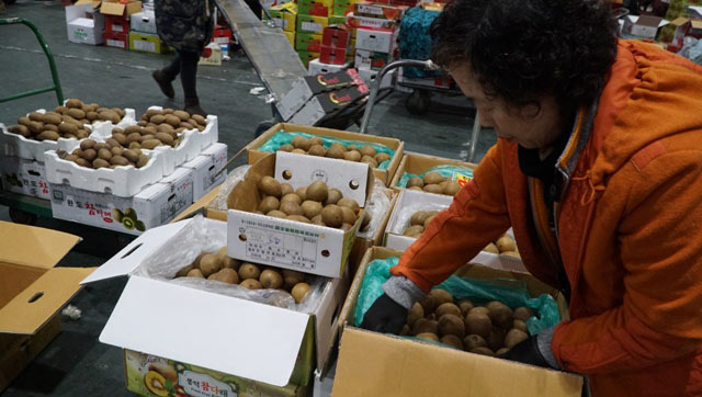 Đi chợ đấu giá rau, khoai, dâu tây ở xứ Hàn giữa trời âm 4 độ C - 6