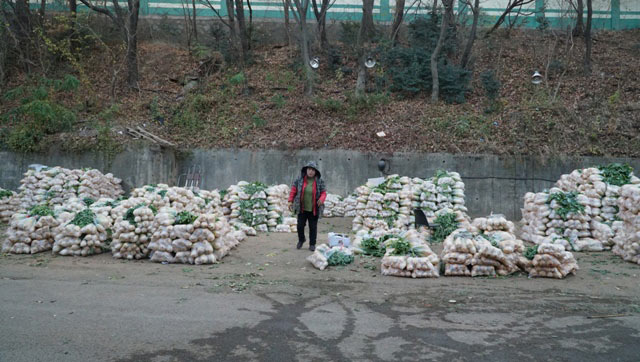 Đi chợ đấu giá rau, khoai, dâu tây ở xứ Hàn giữa trời âm 4 độ C - 8