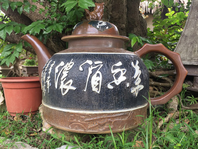 Ngắm “siêu cây” trâm vối 500 năm tuổi “có một không hai” ở Việt Nam - 8