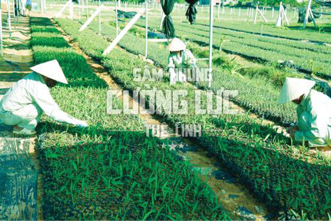 Bí quyết giúp phái mạnh đến tuổi mãn dục vẫn "đêm 7 ngày 3" - 2