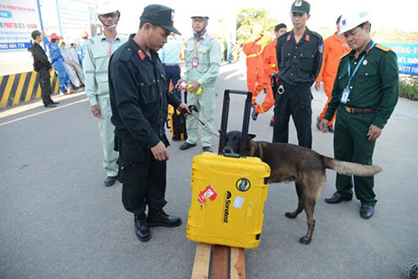 Chiến công mới của đội quân chó nghiệp vụ - 3