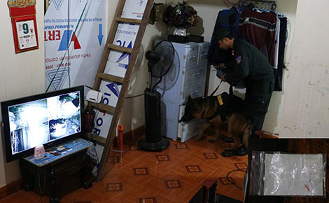 Chiến công mới của đội quân chó nghiệp vụ - 2