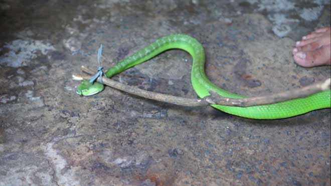 Nóng 24h qua: Ông Đinh La Thăng và em trai bị khởi tố, bắt tạm giam - 2