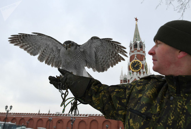 Đội cảnh vệ biết bay chuyên bảo vệ nơi làm việc Tổng thống Nga - 1