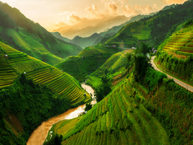 Mù Cang Chải, Việt Nam: Vùng miền núi này có nhiều ruộng bậc thang xanh mướt, khiến du khách có cảm giác như bước vào một bức tranh vẽ. Tùy vào mùa trong năm, màu sắc của cánh đồng lúa chuyển từ màu xanh sang vàng hay nâu.