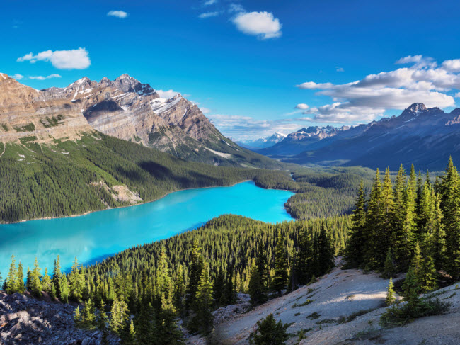 Rockies, Canada: Dãy núi Rockies bao gồm 50 đỉnh và được bao quanh bởi những hồ nước tuyệt đẹp. Một trong số này là Peyto, với màu nước trong xanh như ngọc cùng rừng xanh mướt bao quanh.
