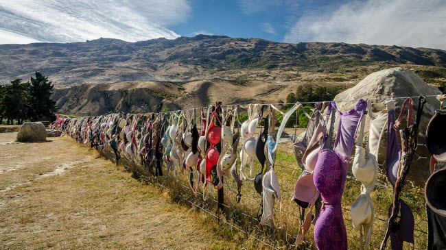 Một trong những hàng rào rác bá đạo nhất ở New Zealand là hàng rào áo lót Cardrona ở thành phố Otago.