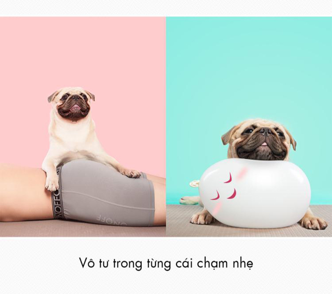 Bộ ảnh hài hước về đồ lót thay bạn hé lộ điều khó nói - 9