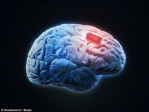 Chip não có thể giúp con người “thần giao cách cảm” - 1