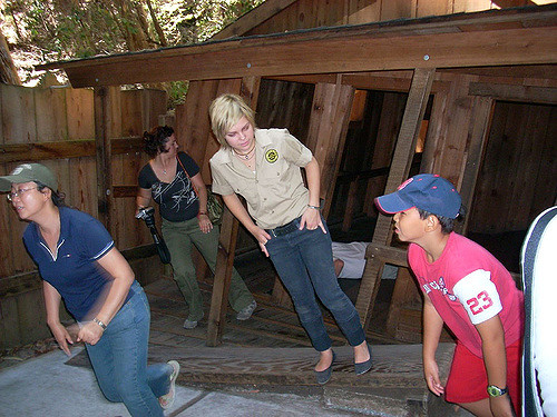 Lạ lùng những địa danh nước chảy ngược, ô tô tự leo lên dốc - 10