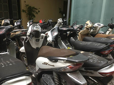 Những bí ẩn ở “trại chó” Thanh Trì - 4