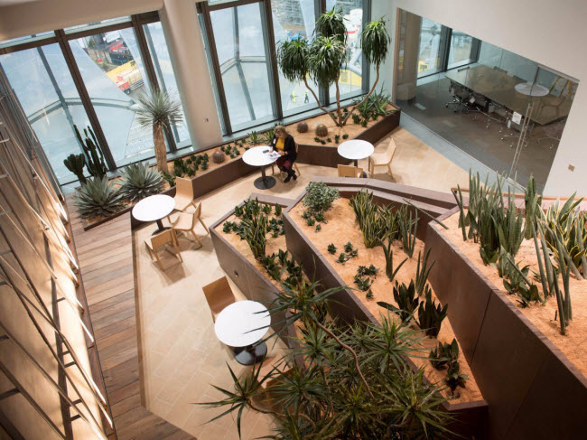 Bên trong đại sứ quán tỉ USD, đắt nhất của Mỹ ở London - 9