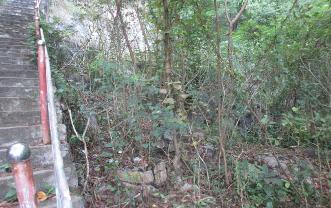 Điều tra nghi án nam thanh niên tử vong cạnh người bạn đồng tính - 2