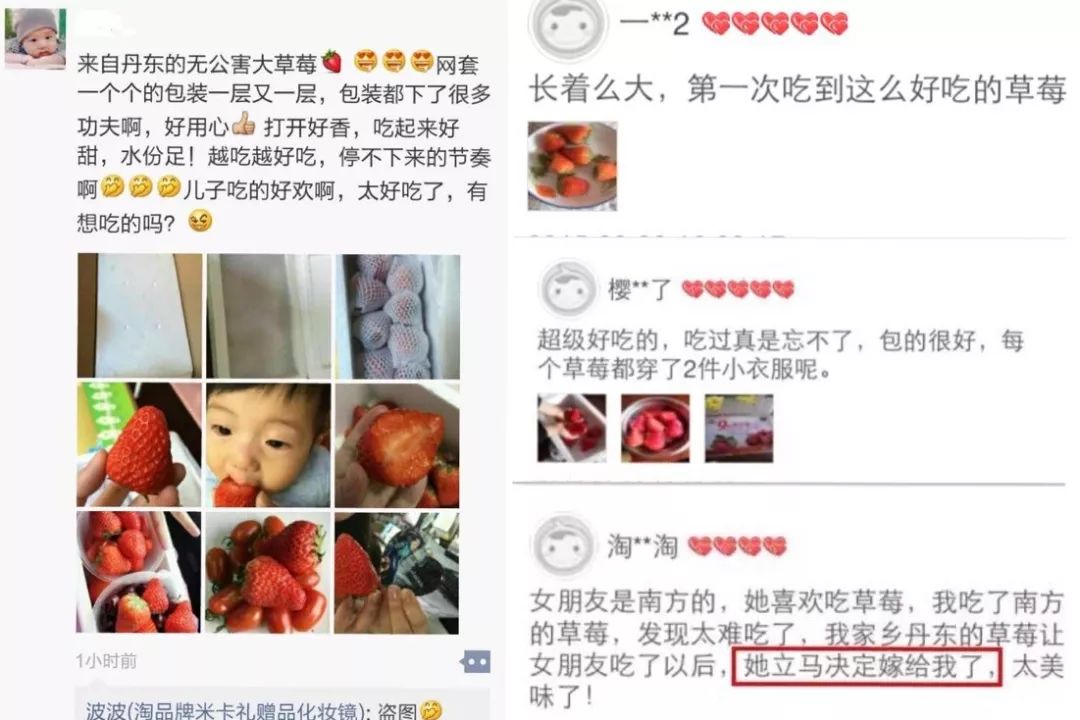 Phát "sốt" với giống dâu "quý tộc" được nghe nhạc ban ngày, chiếu sáng ban đêm - 2