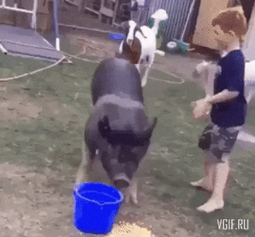 "Tuổi trẻ tài cao" bá đạo như một quý ông - 7