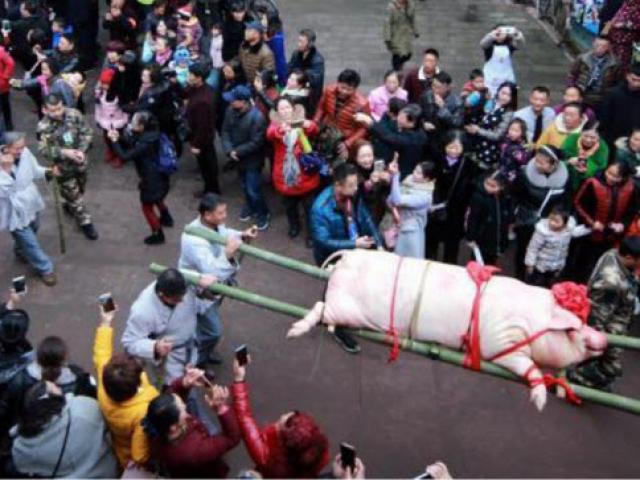 Du khách đổ xô xem lễ tế lợn có ”một không hai” ở Trung Quốc