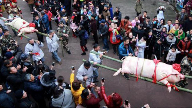 Du khách đổ xô xem lễ tế lợn có &#34;một không hai&#34; ở Trung Quốc - 1