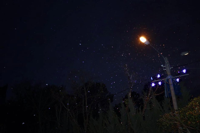 Nóng 24h qua: Tình tiết bất ngờ vụ vợ phân xác chồng bỏ thùng rác - 5