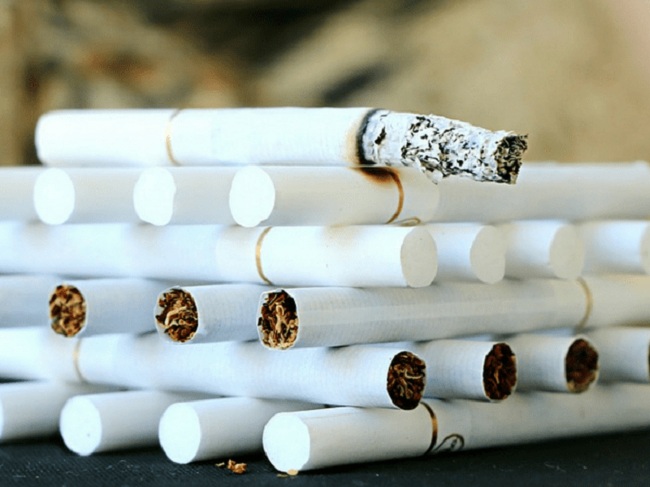 16. Hỗ trợ bỏ thuốc lá nhờ đặc tính giúp trẻ hóa phổi giúp cơ thể được hồi phục.