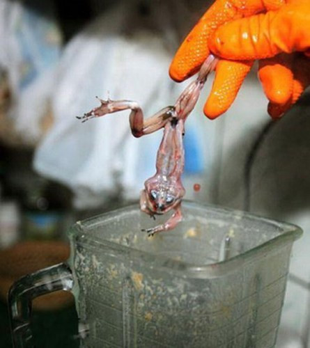 Phát khiếp với 5 đồ uống chỉ cần nghe tên đã "chạy mất dép" - 4