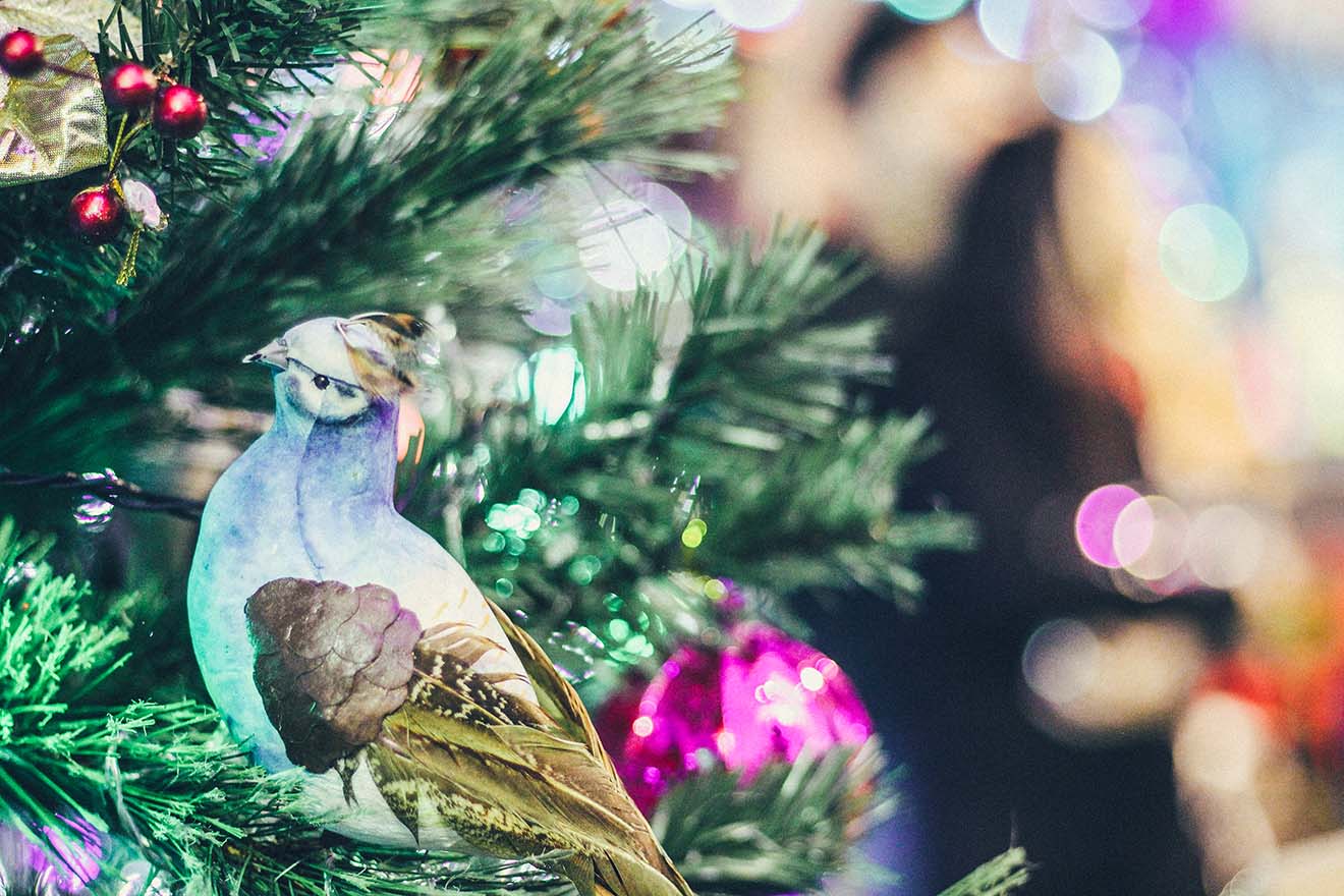 Cận cảnh không gian Giáng sinh hơn 1 tỷ đồng tại biệt thự 3 triệu đô của Mr. Đàm - 2