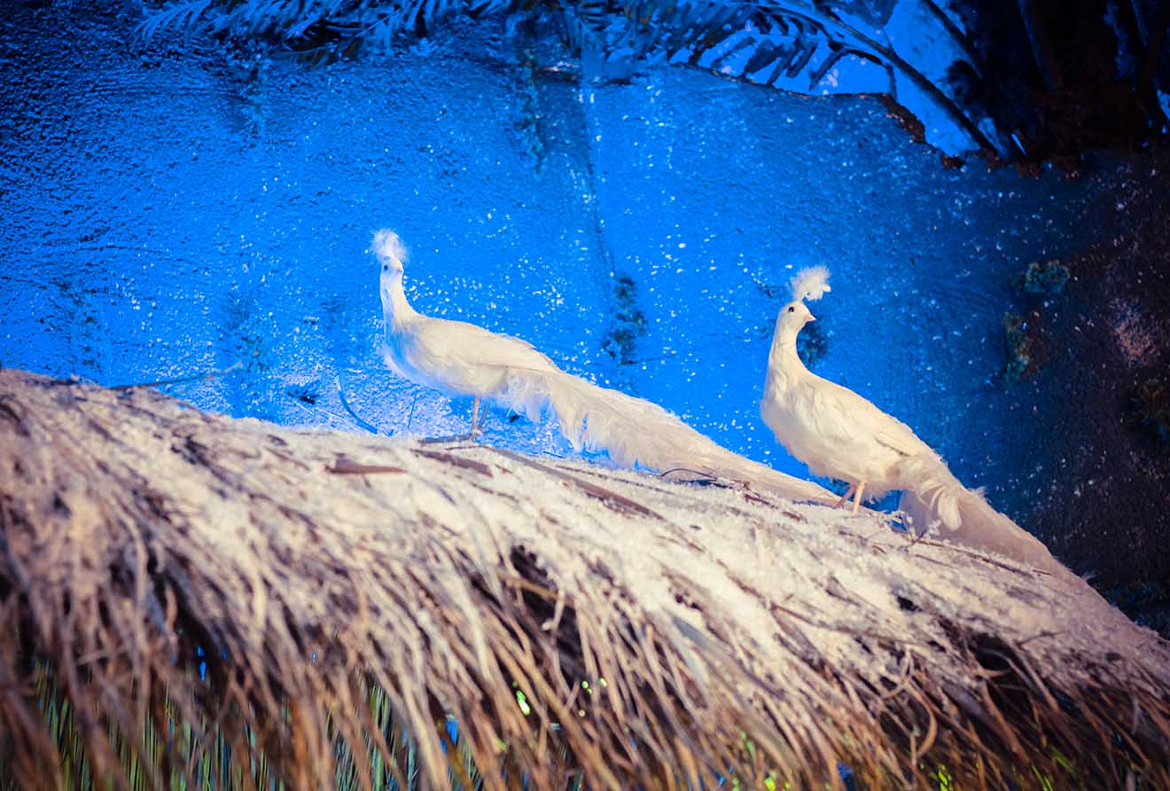 Cận cảnh không gian Giáng sinh hơn 1 tỷ đồng tại biệt thự 3 triệu đô của Mr. Đàm - 4