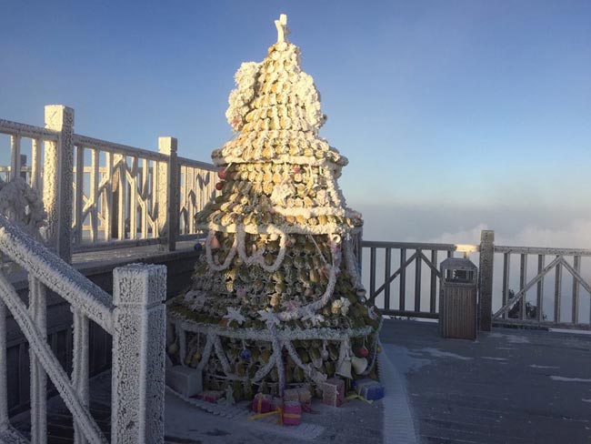 Nóng trong tuần: Vợ phân xác chồng, phi tang ở nhiều nơi gây rúng động - 6