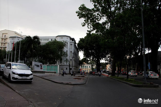 TP.HCM chặt bỏ số lượng lớn xà cừ trên đường Tôn Đức Thắng - 3