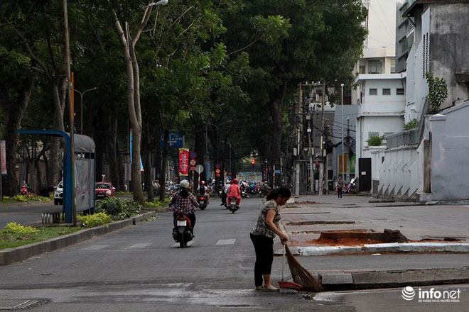 TP.HCM chặt bỏ số lượng lớn xà cừ trên đường Tôn Đức Thắng - 4