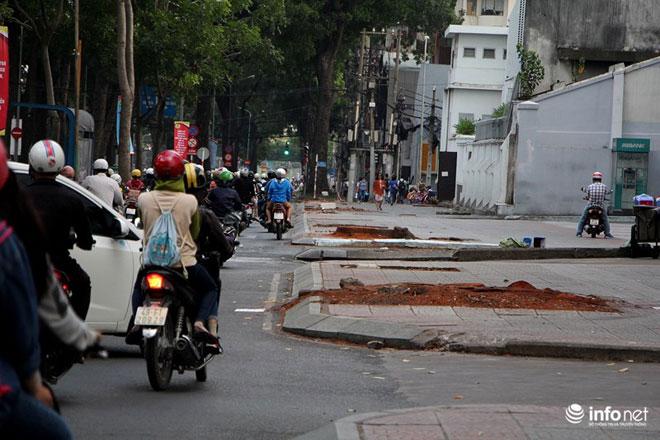 TP.HCM chặt bỏ số lượng lớn xà cừ trên đường Tôn Đức Thắng - 7