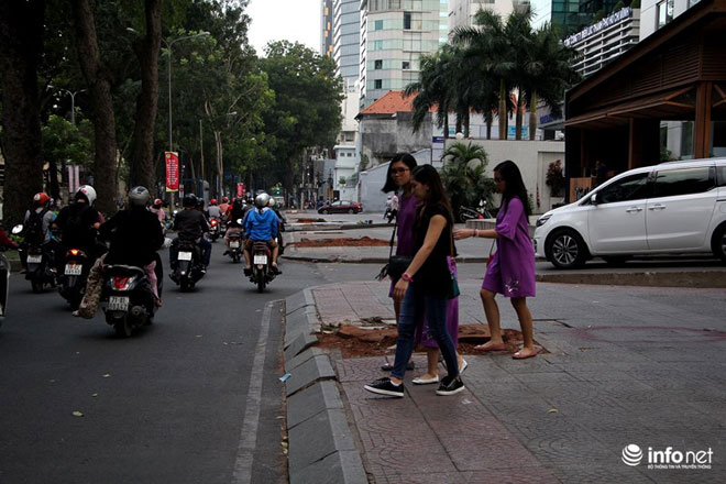 TP.HCM chặt bỏ số lượng lớn xà cừ trên đường Tôn Đức Thắng - 8