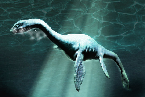 Xác loài vật 150 triệu năm tuổi giống hệt Quái vật hồ Lochness - 1