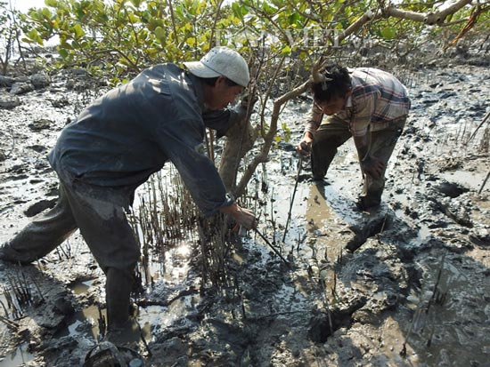 &#34;Săn&#34; đặc sản tên ngán ăn hoài không chán trên đảo Quan Lạn - 3