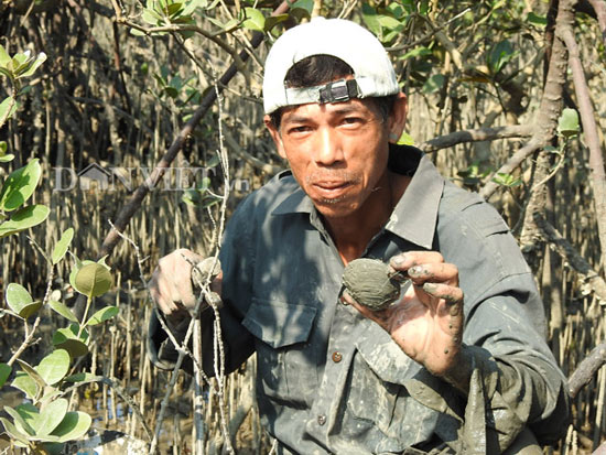 &#34;Săn&#34; đặc sản tên ngán ăn hoài không chán trên đảo Quan Lạn - 7