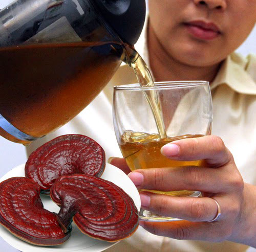 Công dụng thần kỳ của nấm Lim Xanh trong việc hỗ trợ điều trị bệnh ung thư - 2